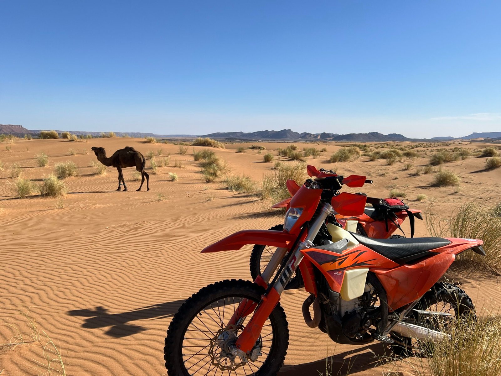 Noleggio moto enduro con guida a Ouarzazate